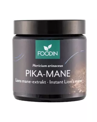 FOODIN Pika-Mane 40 g